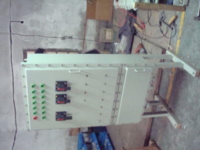 【恒安专业销售防爆不锈钢接线箱、配电箱、配电柜、电气控制柜】价格,厂家,图片,配电柜,瑞安市恒安电气-