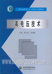 全国高职高专电气类精品规划教材 高电压技术